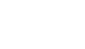 Money Shield