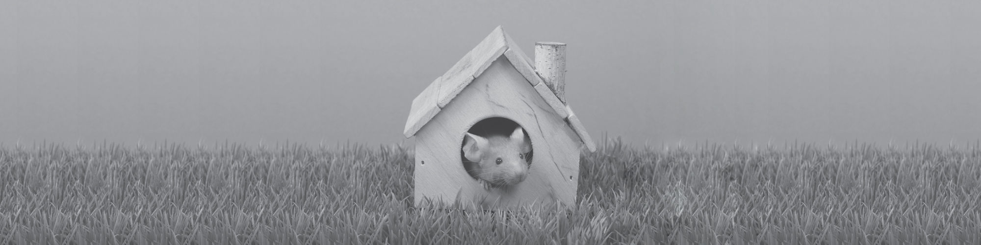 Courtyard Culcheth Homes