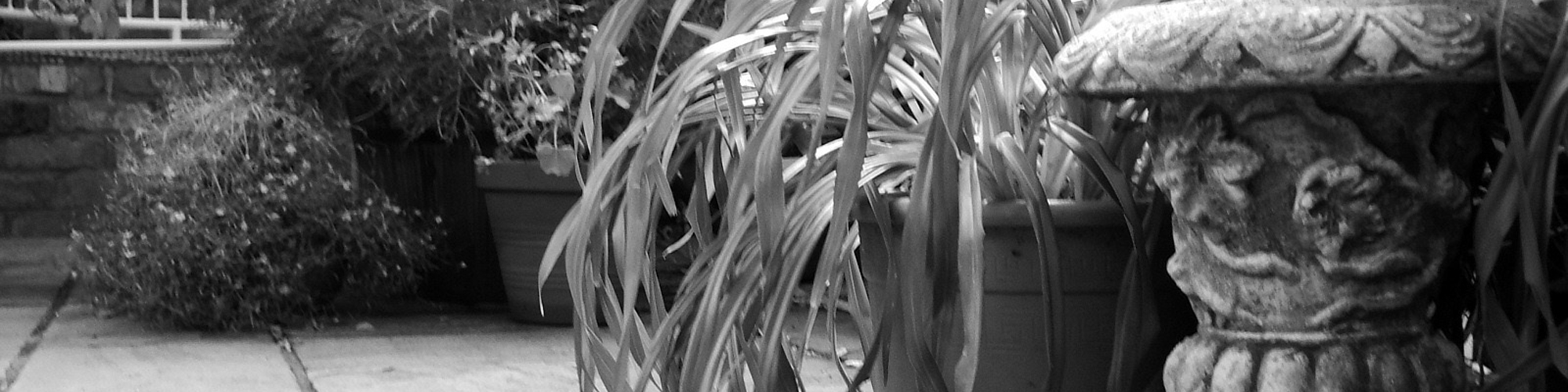 Courtyard Estate Agent